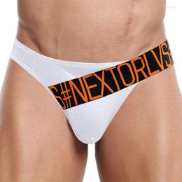 Underpants Youth U Convex Pouch For Young Men Cotton Low Waisted Underwear Gays Sexy Funny Bottom Lingerie Fashion Panties