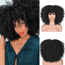 New Wig Women Short Curly Hair African Small Curly Hair European and American Explosive Head Wigs Rose Mesh Synthetic Fibre Headband Role Play