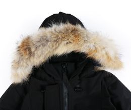 Donne di alta qualità inverno giù per la pelliccia da lupo reale spessa cappotto caldo femminile da donna in cotone tasche di cotone parka plus size xxxl 3395839