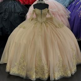 Light Pink Shiny Quinceanera Dresses 2024 Gold Applique Lace Beads Ball Gown Birthday Party Vestidos 15 Anos Princess Sweet 16 Girl