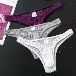 Underpants Sexy Solid Men Briefs Pouch Underwear Breathable Thong Transparent Panties Low-Rise Bikini G-String Sissy Jocks