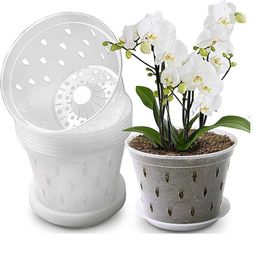 Planters Pots Garden plant drainage basin with tray transparent orchid basket with holes plastic breathable flower potQ240517