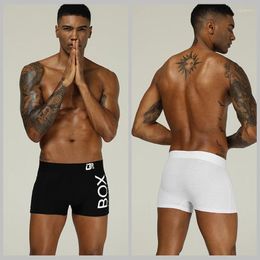 Underpants OR Brand 2 Colour Men Underwear Boxer Cotton Male Pants Comfortable Breathable Shorts Cueca Sexy Gay