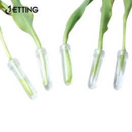 Planters Pots 20pcs plastic fresh flower nutrition tubes covered water storage pipes keeping fresh hydroponic containers flower water pipesQ240517