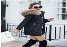 Giacche e cappotti invernali per donne 2019 Parkas for Women 4 Colori Gacche ondulate Outwear caldi con un covo di pelliccia in finto cappa V19108981776
