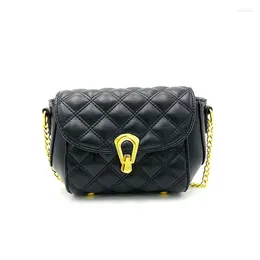 Evening Bags Feminine Style Famous Master Design Diamond Hasp Chain Crossbody Bag Simple Stylish Shoulder