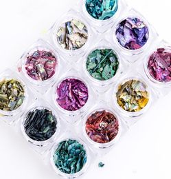 12 Colour Nail Art Decoration Irregular Shell Paper Flake Slice Sequins Fragment 12 Box Beautiful Import Abalone Shell Piece 3D6251211
