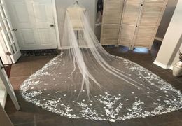 2019 Elegant Bridal Veils Lace Appliques 3m Long One Layer Cathedral Length Voiles de mariage Customized High Quality wedding veil2128128