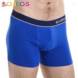 Underpants Men Mens Panties Underwear Boxer Shorts Cotton Sexy Large Size Calcon Brand High Quality 2024 Classic Soft