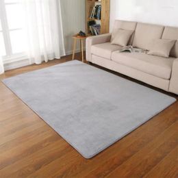 Carpets Grey Rugs For Large Modern Living Roomcoral Velvet Rectangular Non-Slip Bedroom Children's Play Floor Matpink Room Decor