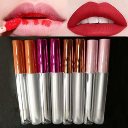 Storage Bottles 2PCS 3ML Empty Mini Lip Gloss Tubes Lipstick With Caps Container Plastic Labial Glaze Bottle For Lady Women Makeup Tool