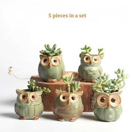 Planters Pots 5 pieces/set cartoon owl shaped flower pot with succulent plants Fleshy plants small pottery vases home/gardenQ240517