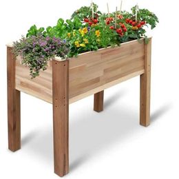 Planters Pots Jumbl nurtures Canadian cedar garden beds - tall woody plants used for growing fresh herbs and vegetable flowersQ240517