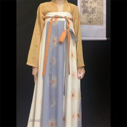 Stage costume Traditional Chinese costume Hanfu Suit Women chic printed fairy costume Cosplay costume Ancient Oriental style princess costume xiezong