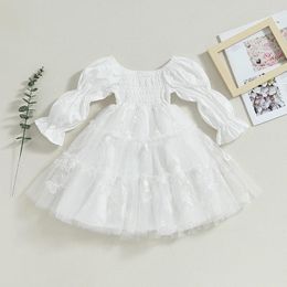 Girl Dresses Princess Party Kids Girls Tulle Butterfly Mesh Long Sleeves Chiffon Dress For Toddler Baby Christmas Spring Clothes