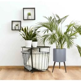 Planters Pots X-Large Hydronic Mid Century high hydroponic plant pot with legs used for indoor plants family garden pots and farmers gray household Q240517