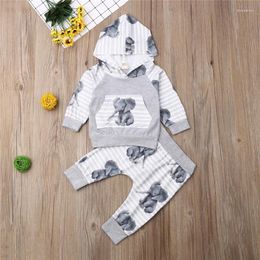 Clothing Sets 0-24months Baby Boys Set Grey Long Sleeve Elephant Print Hooded Sweatshirt Outfits For Spring Autumn Clothes