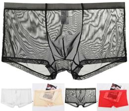 Underpants Men Sexy Underwear Nylon Seamless Ice Silk UltraThin Briefs See Through Mesh Boxer Transparent Shorts3160461