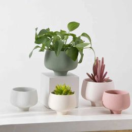 Planters Pots Creative Striped Flower Pot Succulent Pot Ceramic Planter Home Decor Desktop Ornaments Bonsai Plant Pot Garden Decoration J240515