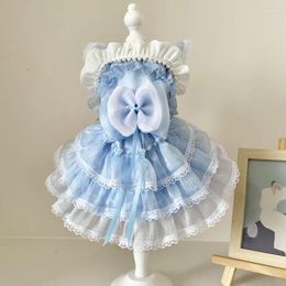 Dog Apparel Fashion Lovely Pet Chihuahua Poodle Puppy Clothes Light Blue Lolita Bow Princess Dresses For Small Medium Casual Outfits