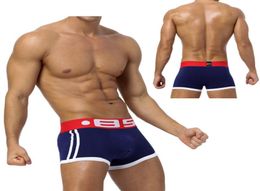 Mens Boxers Cotton Sexy Men Underwear Mens Underpants Male Panties Shorts U Convex Pouch For Gay Boxer Briefs5792042
