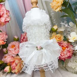 Dog Apparel Summer Pure White Puppy Skirts Poodle Chihuahua Pet Clothes Fashion Hollow Lace Bow Princess Dress For Small Medium