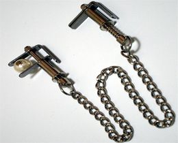 Bondage Stainless Steel Nipple Clamps Metal Breast Labia Clips Restraint Sex Products Fetish Adult Games For Women Men Gay Y2011183157129