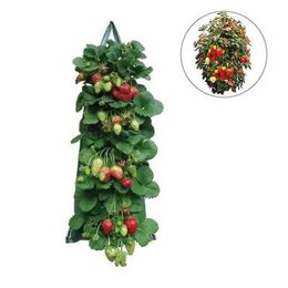 Planters Pots Plant bag hanging flower bag plant growth bag heavy-duty thick fabric can with handle strawberry plant containerQ240517