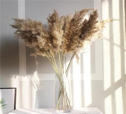 10pcs Real Dried Small Pampas Grass Wedding Flower Bunch Natural Plants Decor Home Decor Dried Flowers5569068