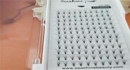 Seashine handmade 6D short stem pre fanned eye lashes russian volume individual false eyelash extension manufacturer6391486