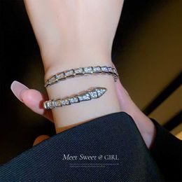 High quality fashion design love symbol bracelet Cool Snake Bracelet with Female Design Silver with Original logo box bvilgarly
