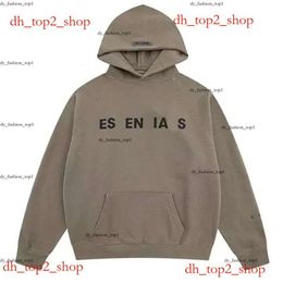 Essentialsclothing Set Men Thick Style 24S Designer Hood Sweatshirt Loose essentialsshorts T Shirt Shorts Man Classic Casual Eur Size S-3Xl essentals hoodie 995