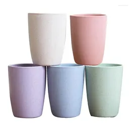 Mugs Wheat Straw Cups 5PCS Different Colours Unbreakable Mug Eco-friendly Reusable Drinking Cup For Adult