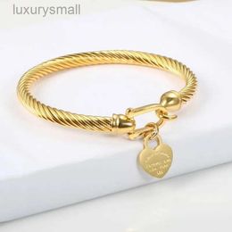 Titanium Steel Bangle Cable Wire Gold Love Heart Charm Bangle Bracelet With Hook Closure for Women Men Wedding Jewelry Gifts G2309045PE-3