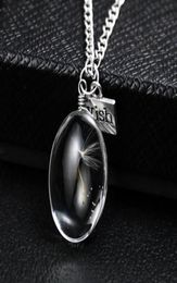 Natural Dandelion Oval Round Crystal Glass Pendant Handmade Dried Flowers Necklace Permanent Preservation Chains Jewellery Women Nec4362974