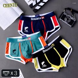 Underbyxor 3st/Lot Men trosor Bomull Underkläder Boxare Mens mode Dolphin Boxershorts Trends Youth Personality Comfort