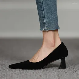 Dress Shoes Spring Simple Pointed Toe Autumn Slip On Pumps Sheepsuede Woman Elegant Ladies Daily High Heel