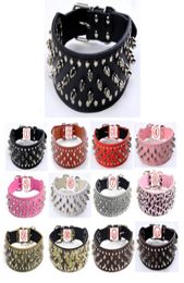 PU leather spiked studded dog collars 2quot wide leather dog collar for PitBull Mastiff Boxer medium and big dogs 12colors 4 siz8577649