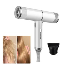 Hair Dryer Fast Drying Professional Negative Ion Premium Cold And Warm Air Multifunction Style Tool 240506