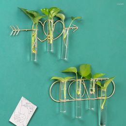 Vases Hydroponic Plant Vase Wall Hanging Clear Glass Container Nordic Style Iron Art Home Living Room Decoration