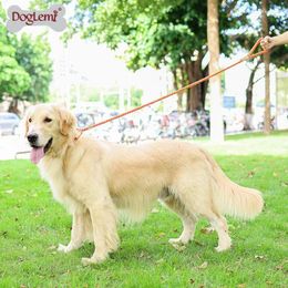 Dog Collars 2 In 1 Durable Nylon Leash Collar Pet Puppy Walking Training Lead Dogs Leashes Strap Belt Cotton Traction Rope 170