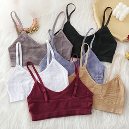 Women Tank Crop Top Seamless Underwear Female Tops Sexy Lingerie Intimates Wire Free Brassiere Sleeveless Camisole 240517