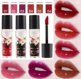 Retro Elegant Rose Red Lip Tint Waterproof Long Lasting Multifunction Lip Gloss Tint Dyeing Liquid Lipstick Blusher Cosmetics6506164