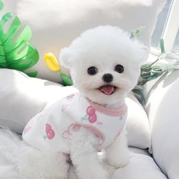 Dog Apparel Pattern Pet Sweater Can Pull Clothes Autumn Warm Pullover Casual Two Legged Products