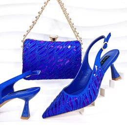 Dress Shoes 2024 Est Arrival Italian Royal Blue Colour Pointed Toe Women Matching Bag Set For Ladies Wedding Party Pump