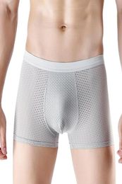 Men Underwear Solid Color Ice Silk Hollow Mesh Breathable Men039s Panties Comfortable UConvex Plus Size Seamless Boxer Shorts2132795