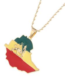 Enamel Map of Ethiopian Lion Pendant Necklace Africa Gold Chain Necklace Map Jewelry2145687