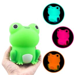 Lamps Shades Cute silicone frog LED night light touch sensor dimmable timer USB rechargeable bedside light for childrens bedroom decoration Y2405204JHH