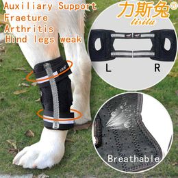 Dog Apparel Leg Braces For Rear Hock & Ankle With Reflective Straps Metal Springs Or Bars Support Sprain Wound And Arthritis