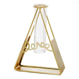 Vases 2Pcs/Set Flower Pot Chic Compact Plant Holder Star Shape Metal Frame Glass Hydroponic Container Home Decoration